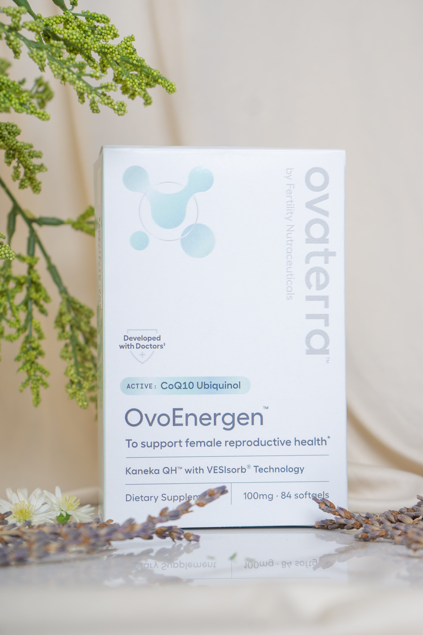 OvoEnergen